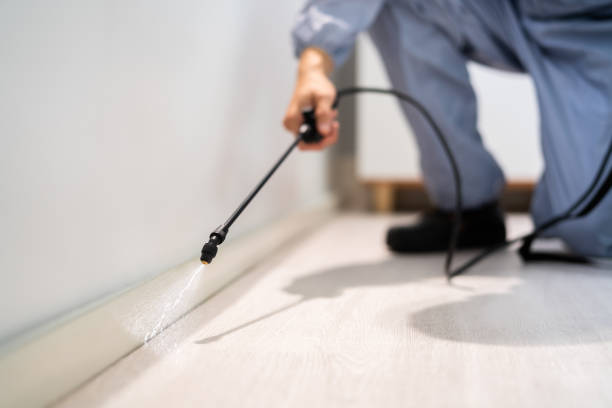 Professional exterminator conducting IPM assessment in Alma