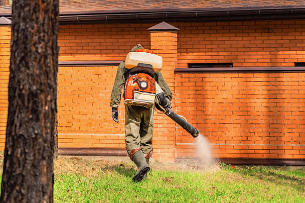 Bed Bug Clearance Verification and Documentation in Alma
